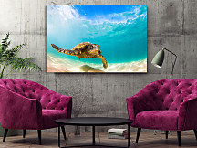 Obraz Sea turtle 1450